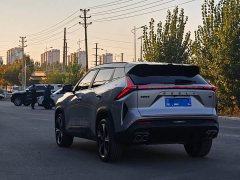 Geely Boyue 1.5TD Beloved - photo 15