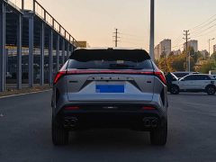 Geely Boyue 1.5TD Beloved - photo 8