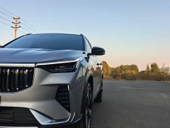 Geely Boyue 1.5TD Beloved - photo 9