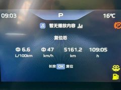 FAW Red Flag H5 1.5T DCT Smart Connected Flagship Rhythm Edition - ფოტო 14