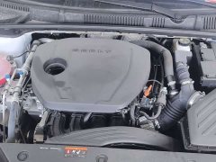 Geely Emgrand 4 Million Commemorative Edition 1.5L CVT Excellence - photo 13