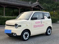 Geely Panda Mini 210km Vitality Edition - ფოტო 1