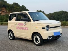 Geely Panda Mini 210km Vitality Edition - ფოტო 2
