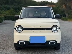 Geely Panda Mini 210km Vitality Edition - ფოტო 3