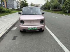 Geely Panda Mini 200km Endurance Edition - фото 3