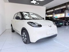 Wuling Binguo 333km Lingxi Premium Edition - ფოტო 3