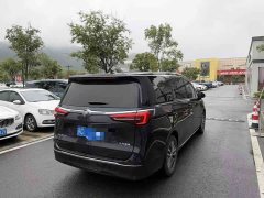 Buick GL8 ES Luxe Enjoyment Edition - ფოტო 6