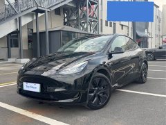 Tesla Model Y Rear-Wheel Drive - ფოტო 1