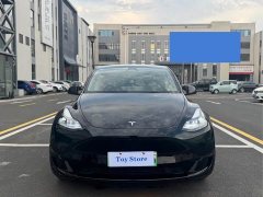 Tesla Model Y Rear-Wheel Drive - ფოტო 2