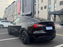 Tesla Model Y Rear-Wheel Drive - ფოტო 4