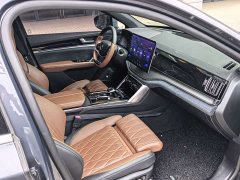 BYD Tang New Energy DM-i 112KM Premium Edition - ფოტო 16