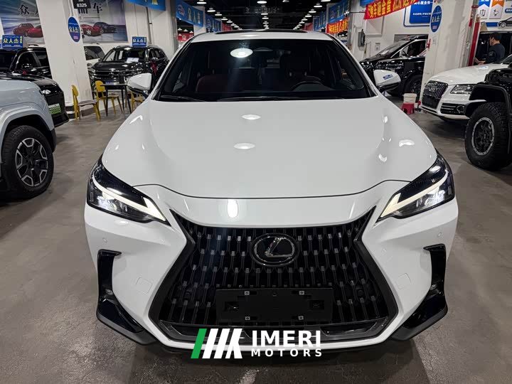 Lexus NX 200 Stunning Limited Edition - ავტომობილი ჩინეთიდან