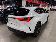 Lexus NX 200 Stunning Limited Edition - ფოტო 8