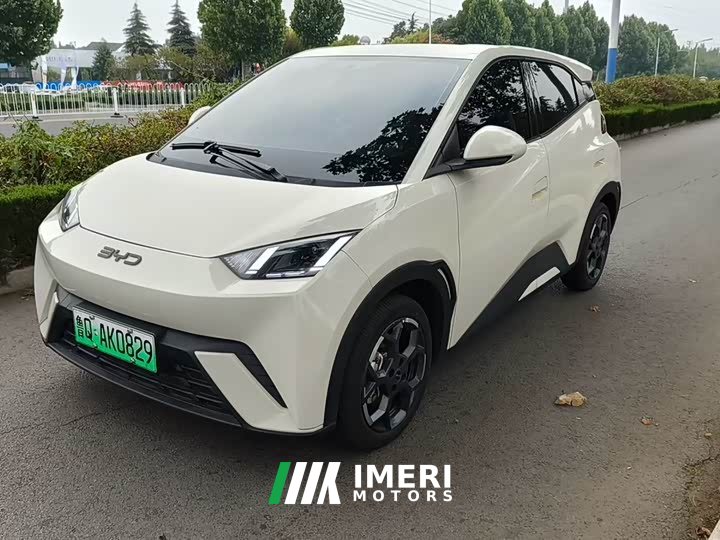 BYD Seagull 305km Freedom Edition
