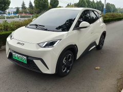 BYD Seagull 305km Freedom Edition - ფოტო 1