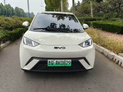 BYD Seagull 305km Freedom Edition - ფოტო 2