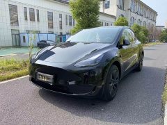 Tesla Model Y Rear-Wheel Drive - ფოტო 1