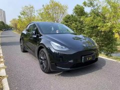 Tesla Model Y Rear-Wheel Drive - ფოტო 3