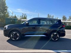 Ford Lingrui EcoBoost 170 Platinum Edition - photo 4