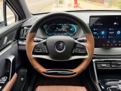 BYD Tang New Energy DM-i 112KM Premium Edition - photo 10