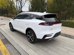 BYD Tang New Energy DM-i 112KM Premium Edition - photo 2
