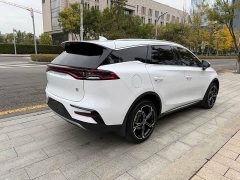 BYD Tang New Energy DM-i 112KM Premium Edition - photo 4