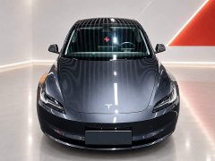 Tesla Model 3 Rear-Wheel Drive - ფოტო 2
