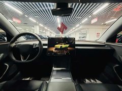 Tesla Model 3 Rear-Wheel Drive - ფოტო 8