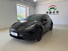 Tesla Model Y Rear-Wheel Drive - ფოტო 3