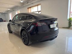Tesla Model Y Rear-Wheel Drive - ფოტო 5