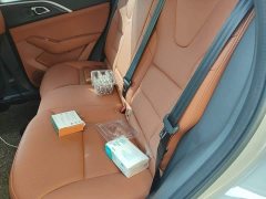 Haval Xiaolong MAX Hi4 165 Plus Long Range - photo 13