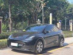 Tesla Model Y Rear-Wheel Drive - ფოტო 1