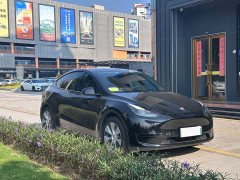 Tesla Model Y Rear-Wheel Drive - ფოტო 3