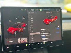 Tesla Model Y Rear-Wheel Drive - ფოტო 6