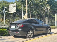 Tesla Model Y Rear-Wheel Drive - ფოტო 7