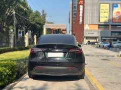 Tesla Model Y Rear-Wheel Drive - ფოტო 8