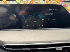 Changan Eado Enjoy Plus Blue Whale NE 1.4T GDI DCT Luxury Edition - ფოტო 19