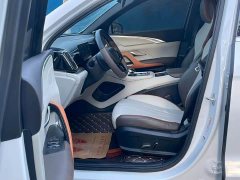 BYD Song Pro New Energy DM-i 110km Flagship - ფოტო 5