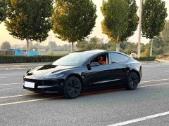 Tesla Model 3 Rear-Wheel Drive - ფოტო 1