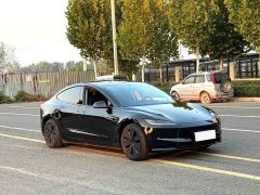 Tesla Model 3 Rear-Wheel Drive - ფოტო 3