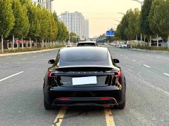 Tesla Model 3 Rear-Wheel Drive - ფოტო 8