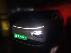 XPeng G9 650 Performance Max - ფოტო 1