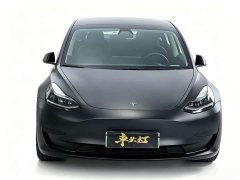 Tesla Model 3 Standard Range RWD Upgrade - ფოტო 2