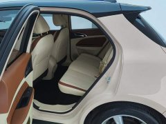 ORA Good Cat 401km Standard Range Luxury LFP - ფოტო 11