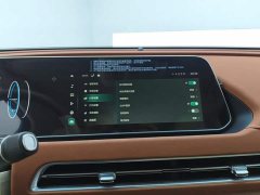 ORA Good Cat 401km Standard Range Luxury LFP - ფოტო 13
