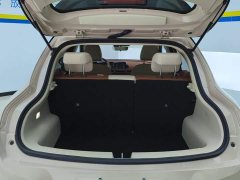 ORA Good Cat 401km Standard Range Luxury LFP - ფოტო 4