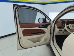 ORA Good Cat 401km Standard Range Luxury LFP - ფოტო 7