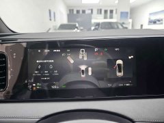 BYD Sealion 06 DM-i 205 Pilot Plus - ფოტო 6