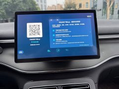 BYD Destroyer 05 Glory Edition DM-i 55KM Luxury - ფოტო 10