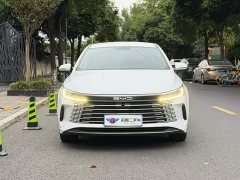 BYD Destroyer 05 Glory Edition DM-i 55KM Luxury - ფოტო 2